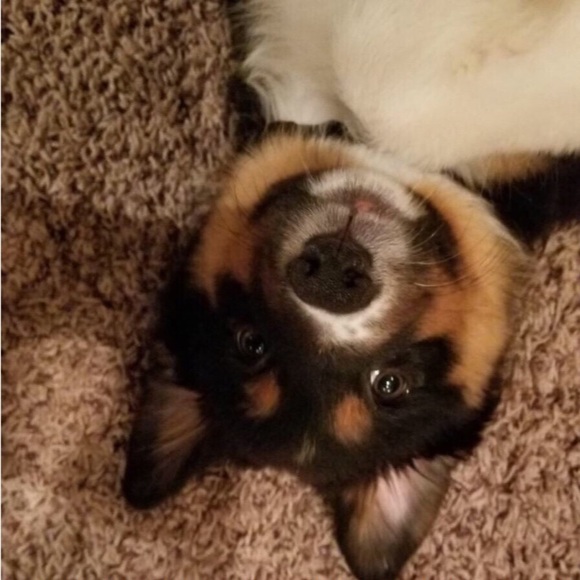 Meet your Posher, John - Picture 1 of 2